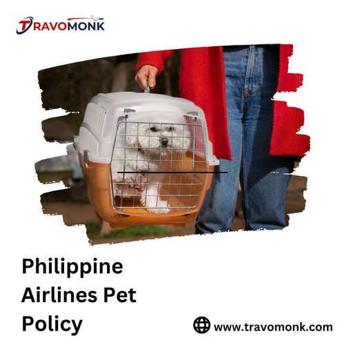 Understanding the Pet Policy of Philippine Airlines: Guidelines and Regulations.jpg