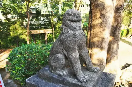 20191209 1613.webp