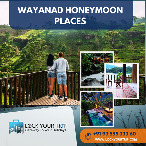 wayanad honeymoon places.png