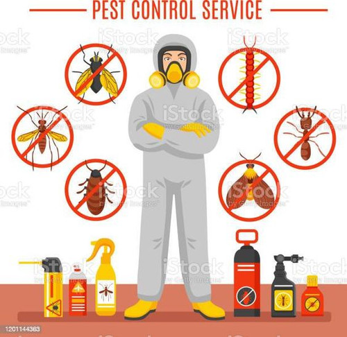 pest control service.jpg