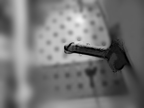 Picsart 23 07 10 14 39 13 411.jpg