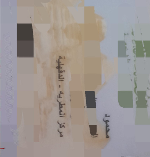 ٢٠٢٣٠٧٠٨ ٠٠٥٣٠٧ resized.jpg