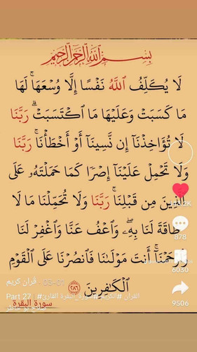 38519733 CC2E 4628 BFF4 3701DAB86FB8.jpg