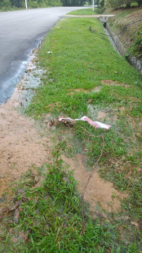 WhatsApp Image 2023 07 12 at 08.28.26.jpg