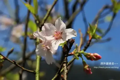 20180324 203.webp