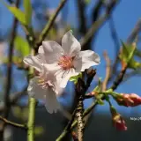 20180324 203