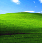 win 11.gif
