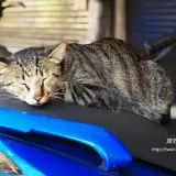 20180324 392