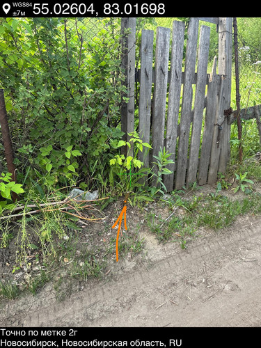 3..jpg