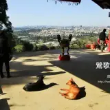 20180113 209