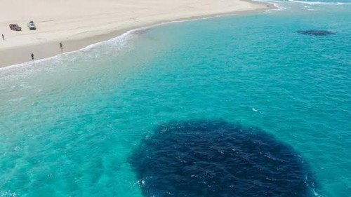 images 2023 07 10T154739.657.jpg