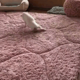 2738290c8d53a1f7.out.20200222 103305.gif