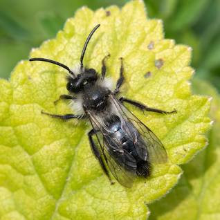 05264D23 9DA6 4FFB 8801 F2154B99CC82.jpg