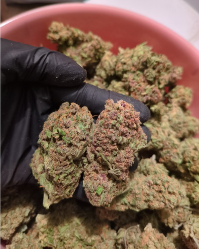 ogkush.jpg