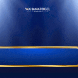 gif1 (2).gif