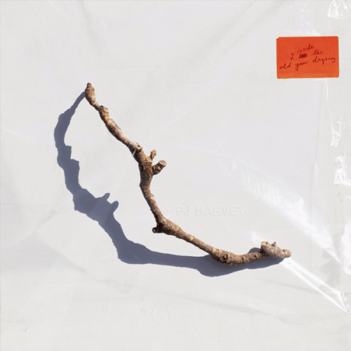 PJ Harvey - I Inside the Old Year Dying.gif