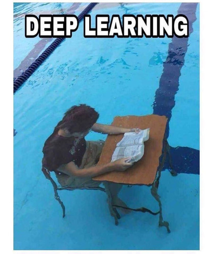 50 Hilarious Pool Memes To Get You Excited For The First Day Of Summer.jpg