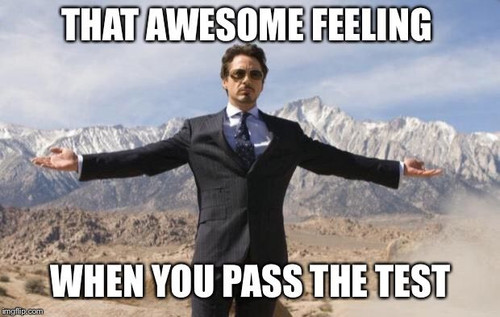 Robert Downey Jr.jpg