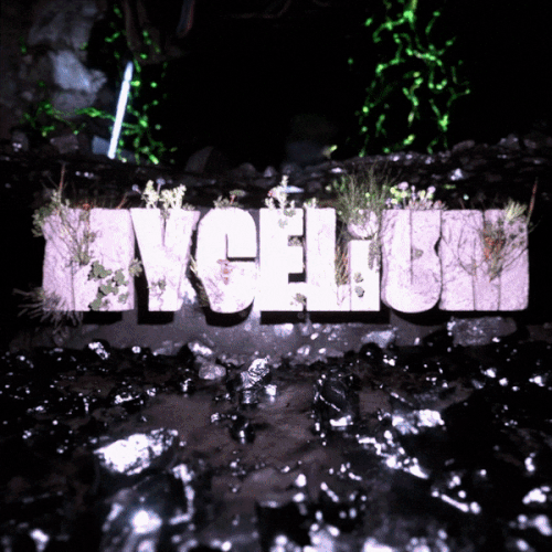 Aluna - MYCELiUM.gif