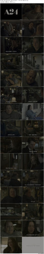 The.Whale.2022.UHD.BluRay.2160p.DTS HD.MA.7.1.x265.10bit.HDR BeiTai preview.jpg