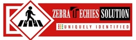 Affordable Web Design Company India | Zebra Techies.jpg