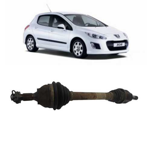 Design sem nome.png