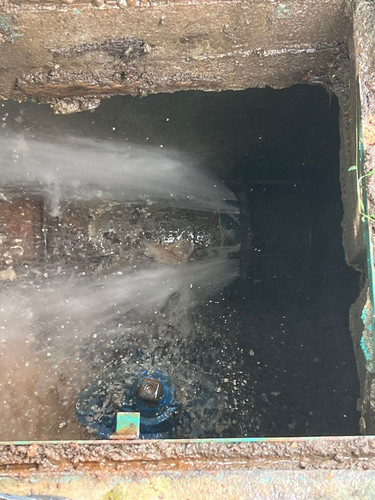 WhatsApp Image 2023 08 07 at 12.30.56 PM.jpg