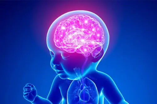 Infant Baby Brain Illustration 777x518.webp