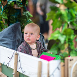 Earth Frequency Festival 2020 06120