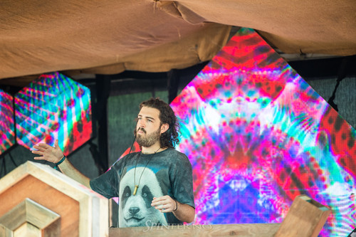 Earth Frequency Festival 2020 06138.jpg