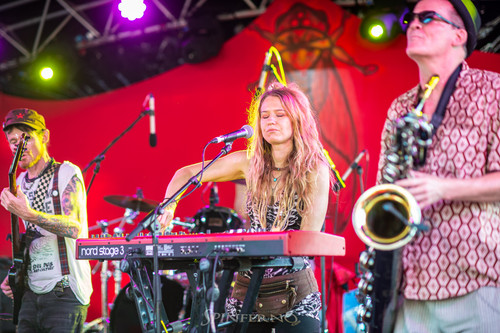 Earth Frequency Festival 2020 06326.jpg