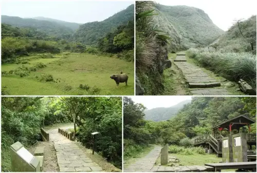 00033 草嶺古道.webp
