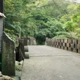 00032 跌死馬橋