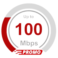 100 mbps.png