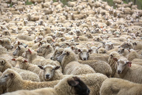 GettyImages 881515364.jpg