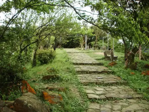 00011 汐止大尖山通往四分尾山的步道.webp