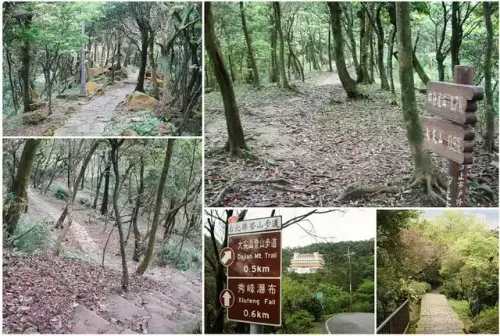00013 汐止大尖山步道.webp