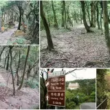 00013 汐止大尖山步道