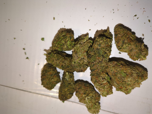 IMG 20230707 110702 702.jpg