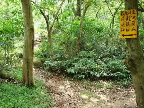 00010 新埔飛龍步道.webp