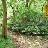 00010 新埔飛龍步道