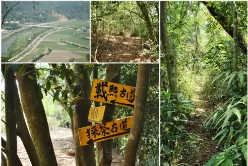 00011 新埔飛龍步道與載熙古道叉路.webp
