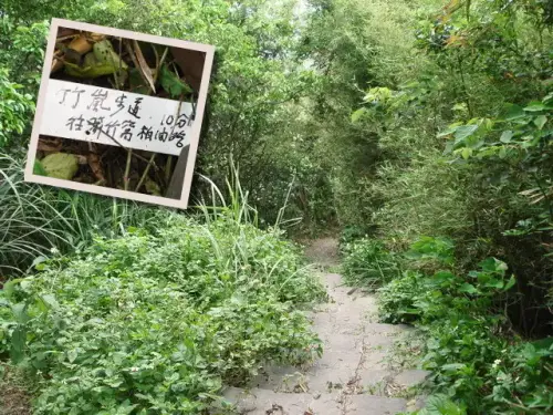 00020 1 竹嵐步道.webp