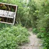 00020 1 竹嵐步道