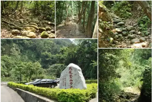 00014 飛龍登山步道.webp