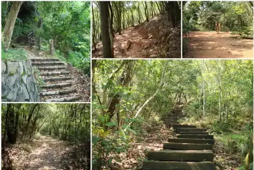 00007 新埔飛龍步道.webp