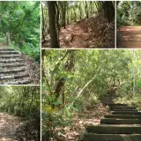 00007 新埔飛龍步道