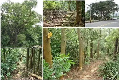 00016 採茶古道 vs 載熙古道.webp