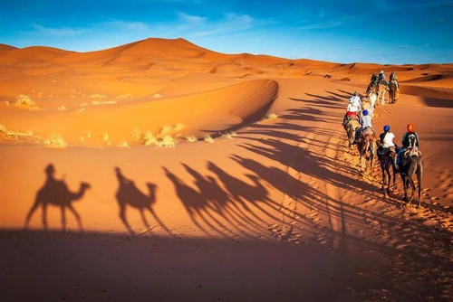 What are the Different Types of Desert Safaris In Dubai kingsdesertsafari.com.jpg