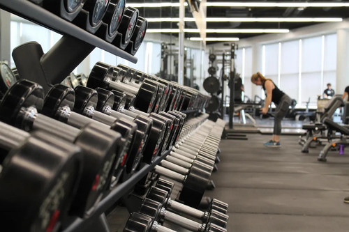 Find the best Fitness Equipment Mover.jpg